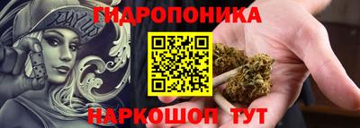 амф Боровичи