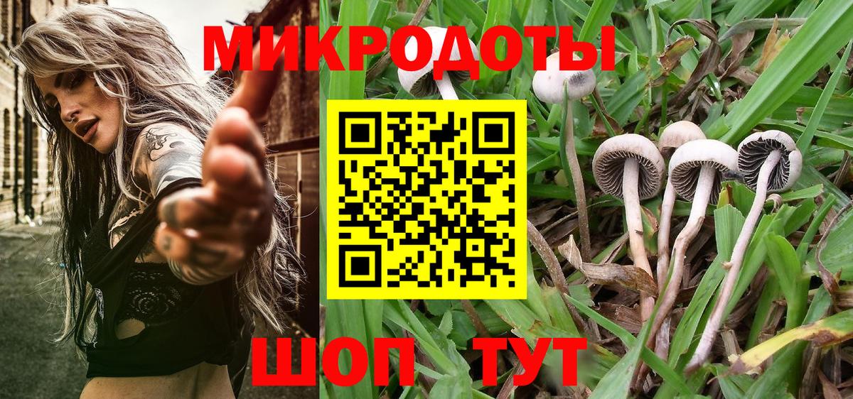Псилоцибиновые грибы Magic Shrooms  Вход с VPN  Мыски 
